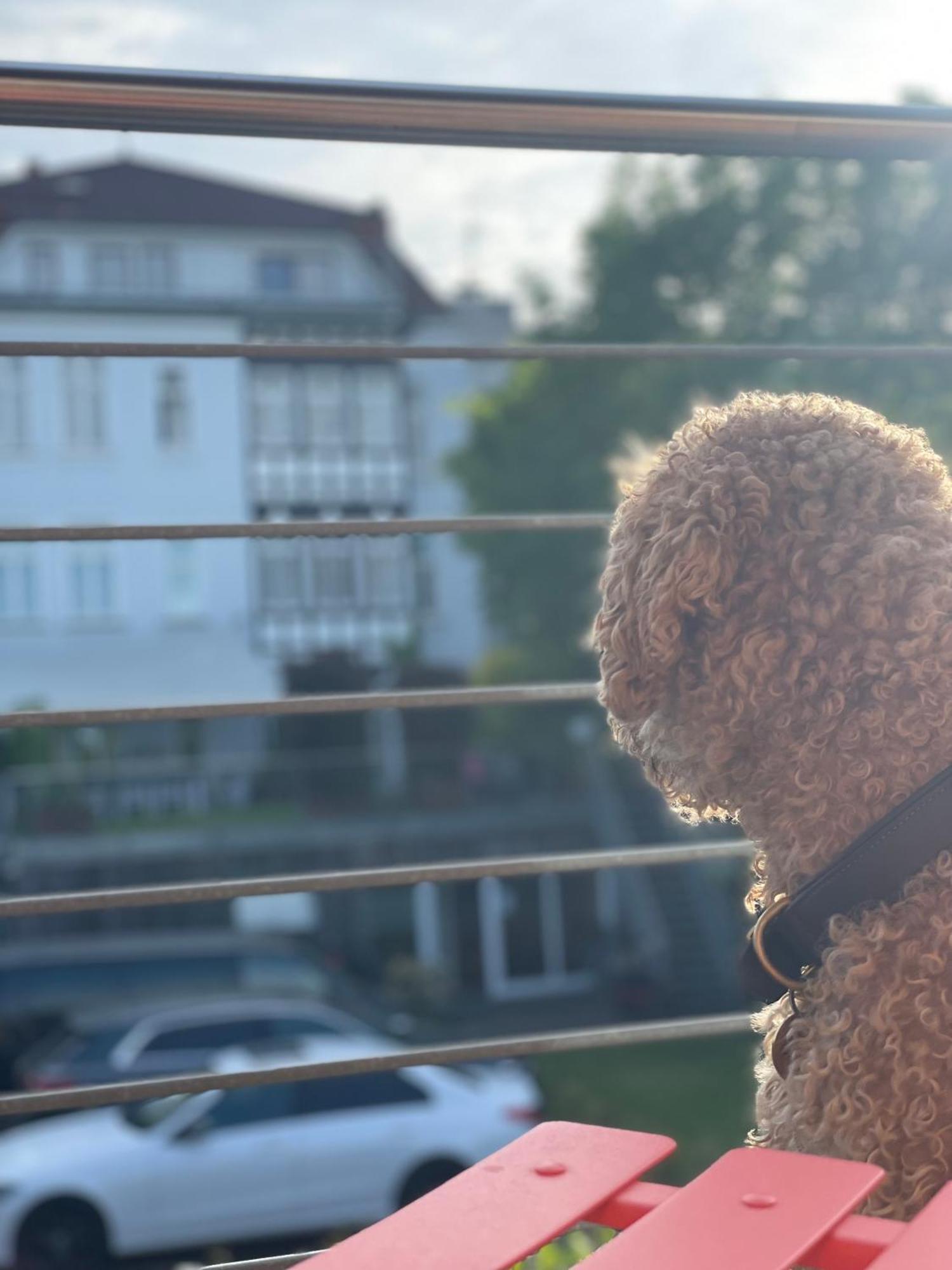 Sonniges Hinterhaus Og Innenstadt Osnabrück Esterno foto