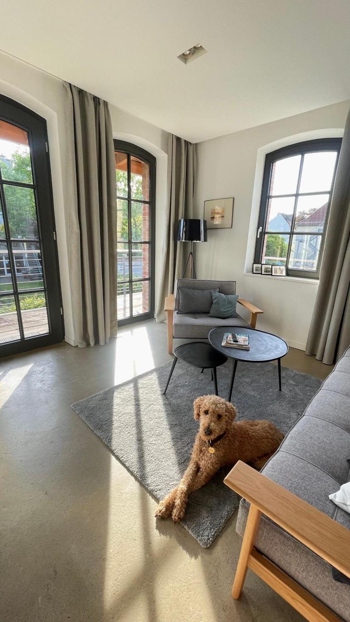 Sonniges Hinterhaus Og Innenstadt Osnabrück Esterno foto